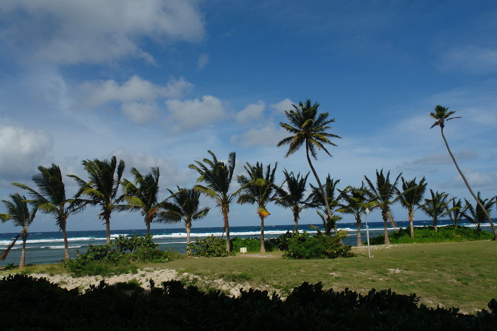 Вид с нашего патио - Сент-Крой (St. Croix).